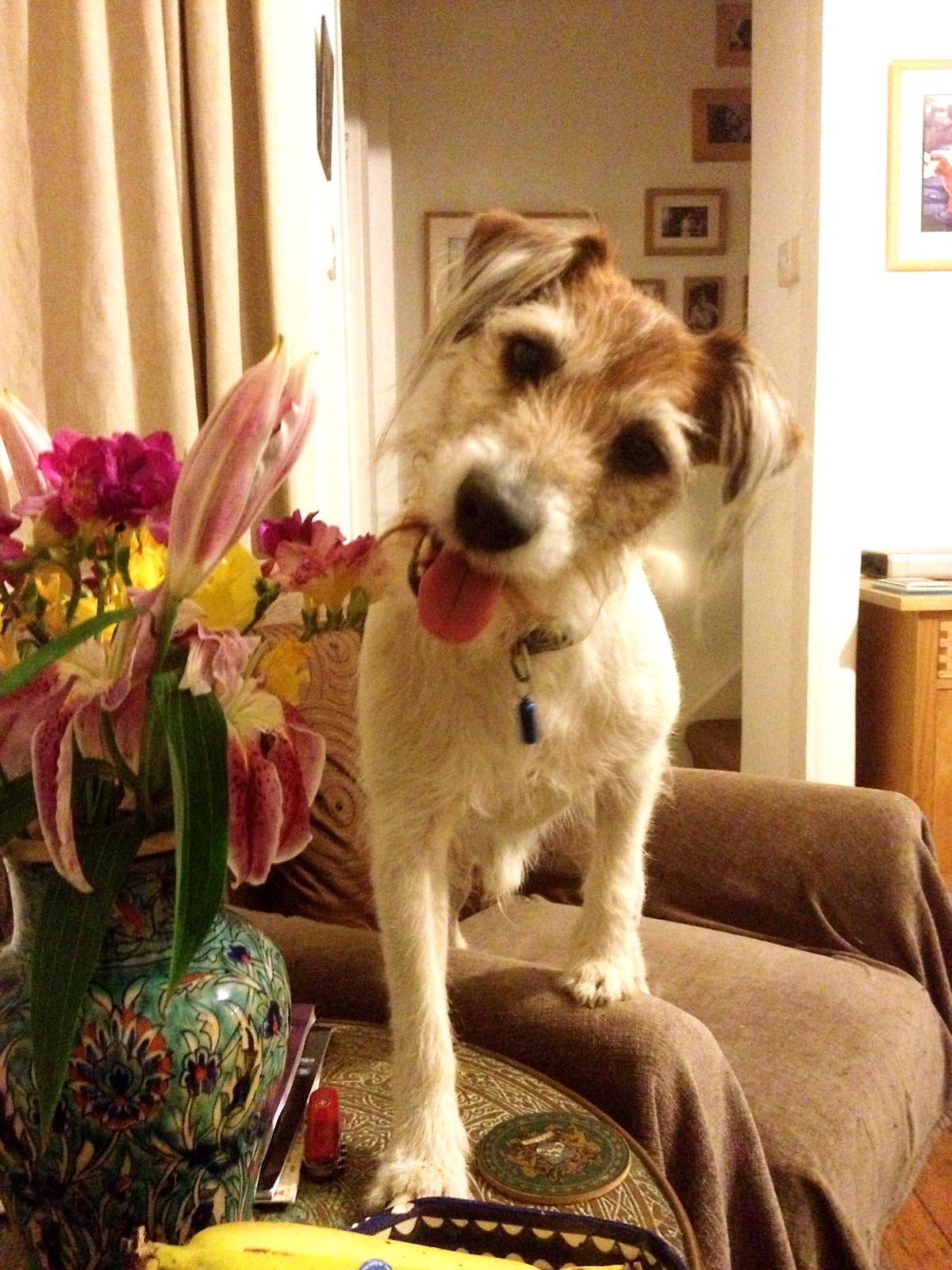 In loving memory of Pele