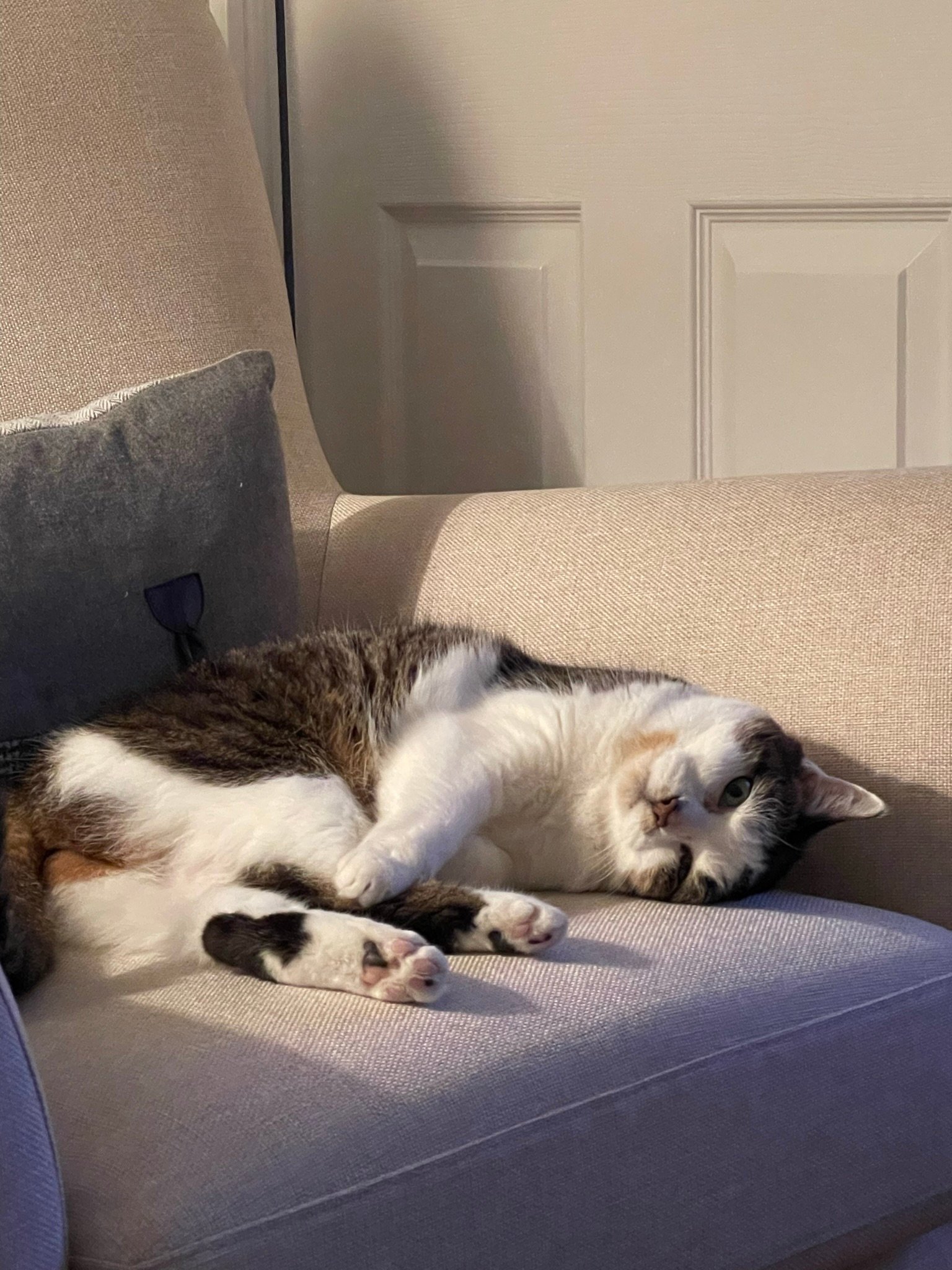 In loving memory of Narla