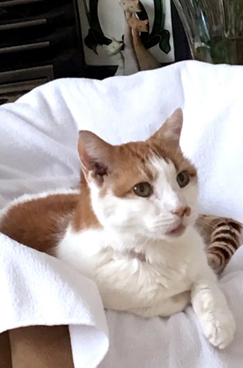 In loving memory of Harry