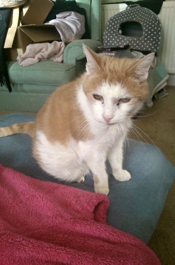 In loving memory of The Major