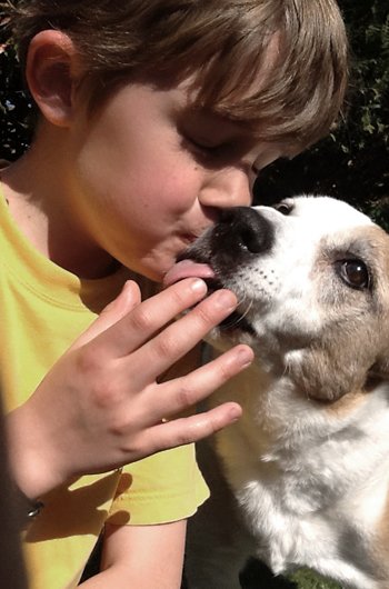 In loving memory of Lardy