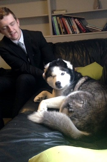 In loving memory of Blaze