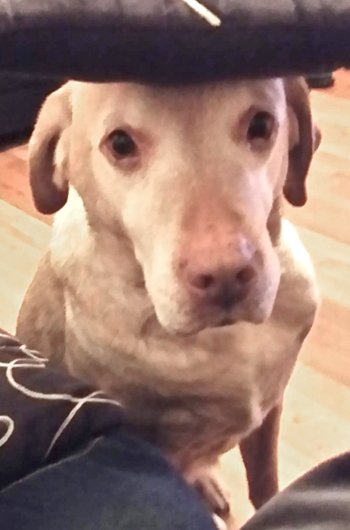 In loving memory of Thierry