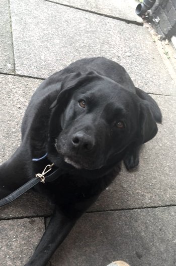 In loving memory of Arthur