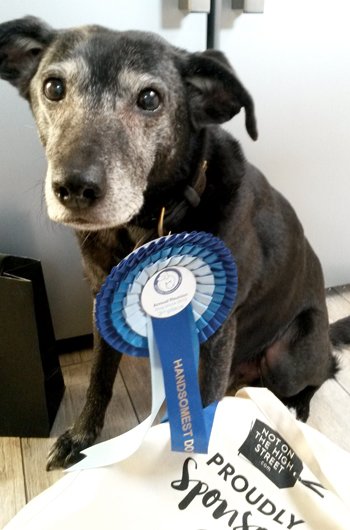 In loving memory of Muttley