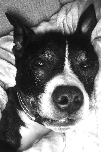 In loving memory of Mickey Slim