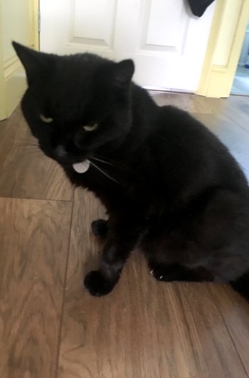 In loving memory of Sabrina