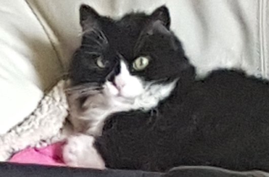 In loving memory of Emma