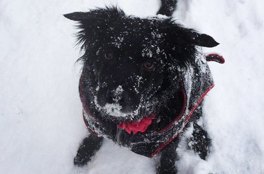 In loving memory of Minnie Hill