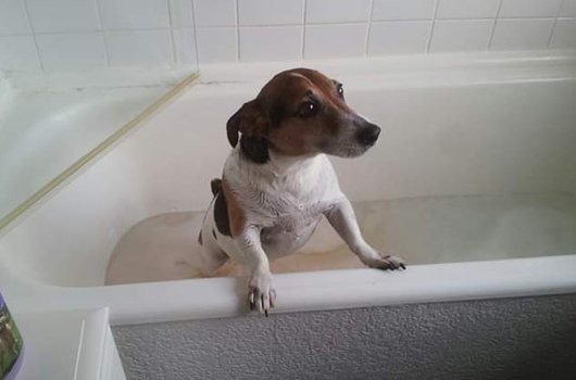 In loving memory of Lego