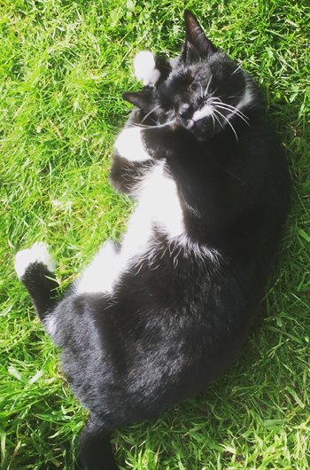 In loving memory of Mr Jones