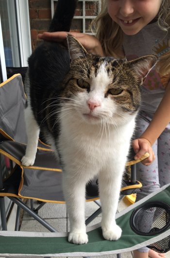 In loving memory of Stitch