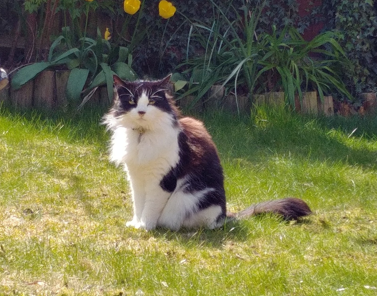 In loving memory of Maccy