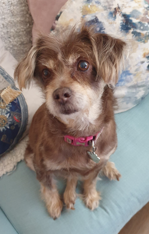 In loving memory of Vespina