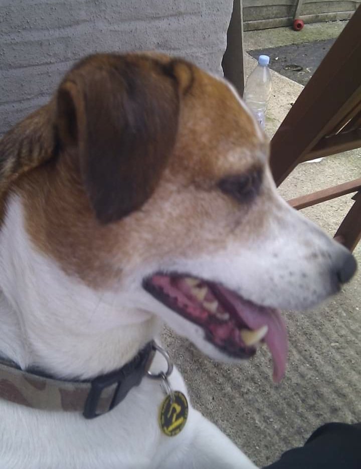 In loving memory of Eddie