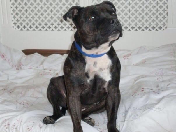 In Loving Memory of Ernie