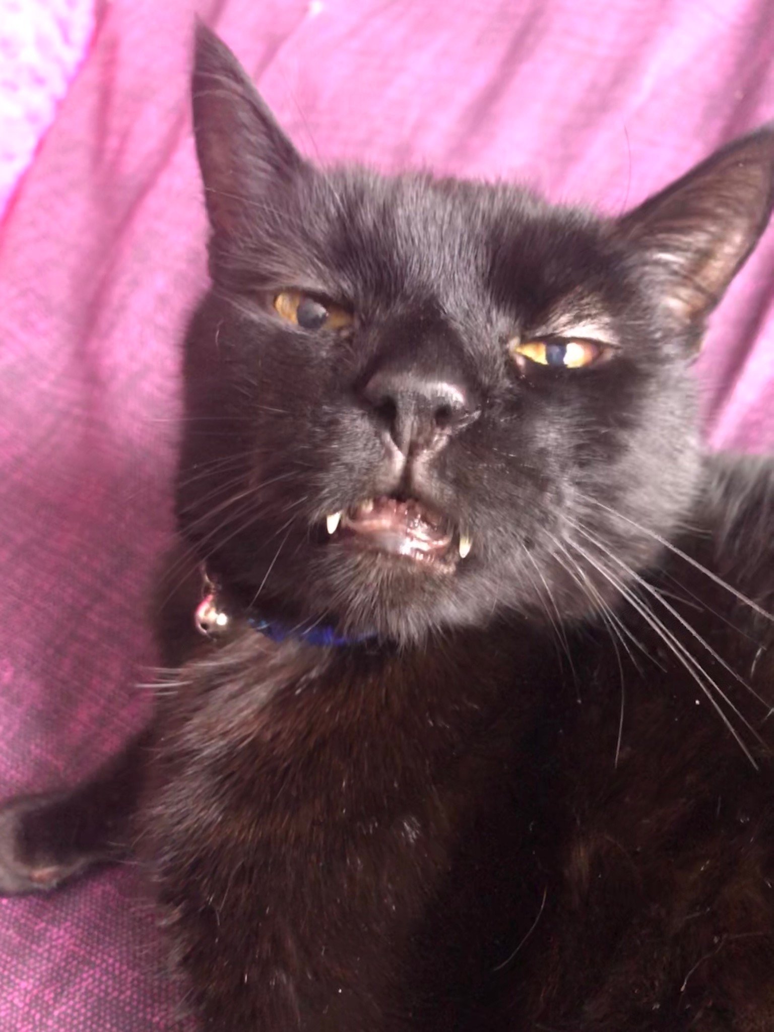 In loving memory of Bobby