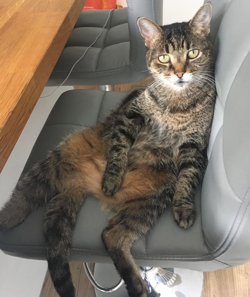 In loving memory of Meila