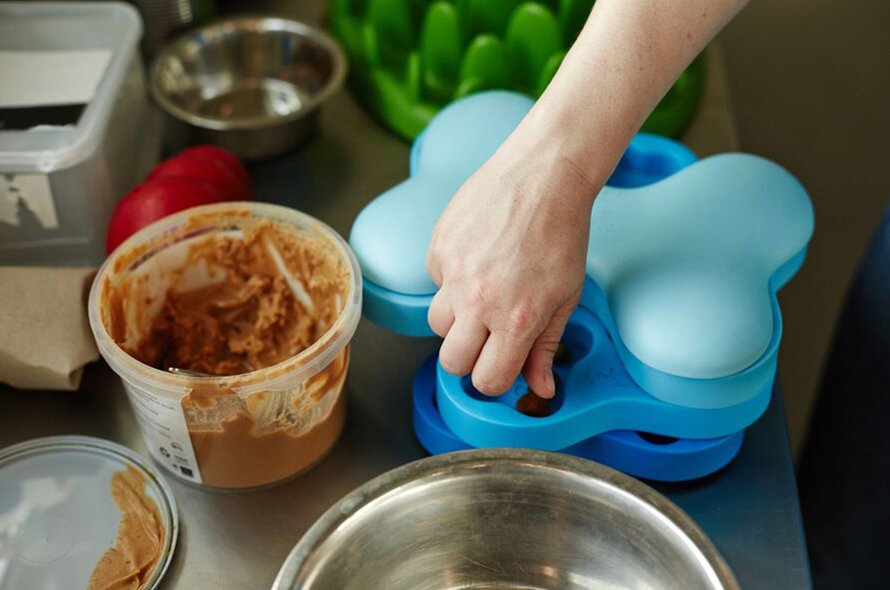 A hand puts treats in a bone shaped slow feeder, next to a pot of food and a food bowl