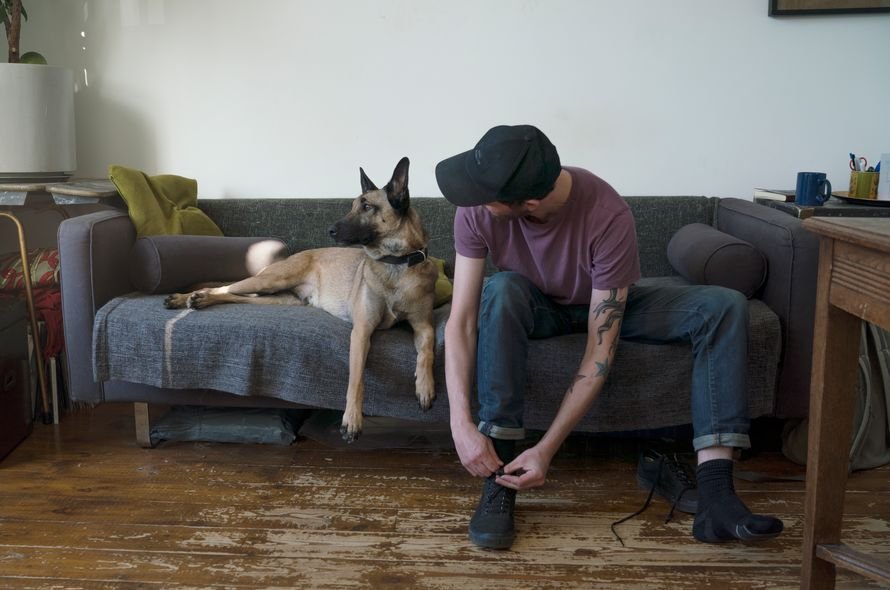 A person sitting on a couch outting on their shoes looking at a dog laying down next to them