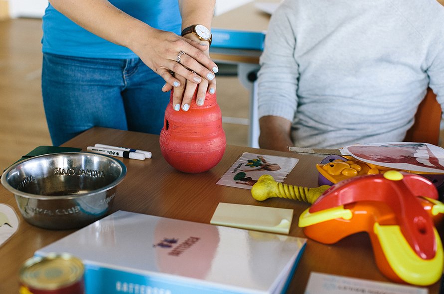 A table full of dog feeding equipment, a staff member adds treats to a kong toy