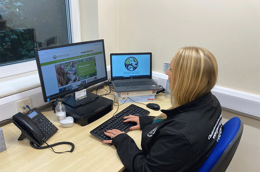 A woman sitting at a desk, using a computer and a laptop, surrounded by office supplies.