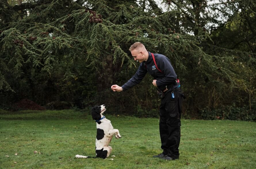 Battersea staff member holding a treat up for a dog