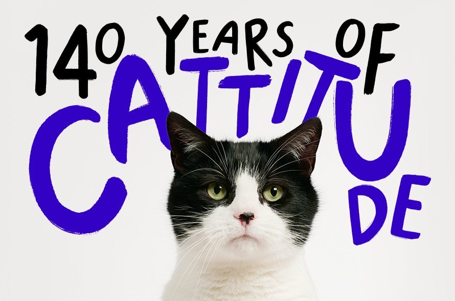 Cattitude 2023 black and white cat sitting down