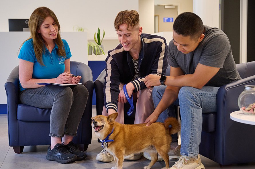 Couple sitting in reception smiling at a dog