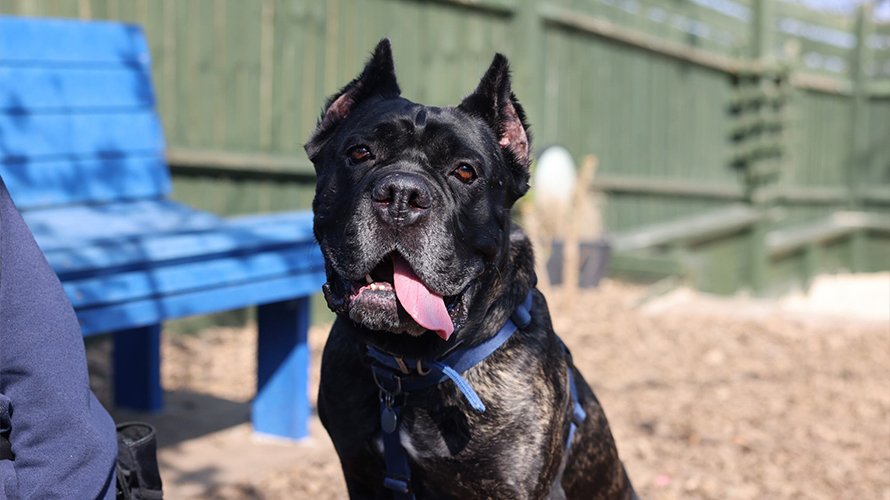 Ella sitting on the ground