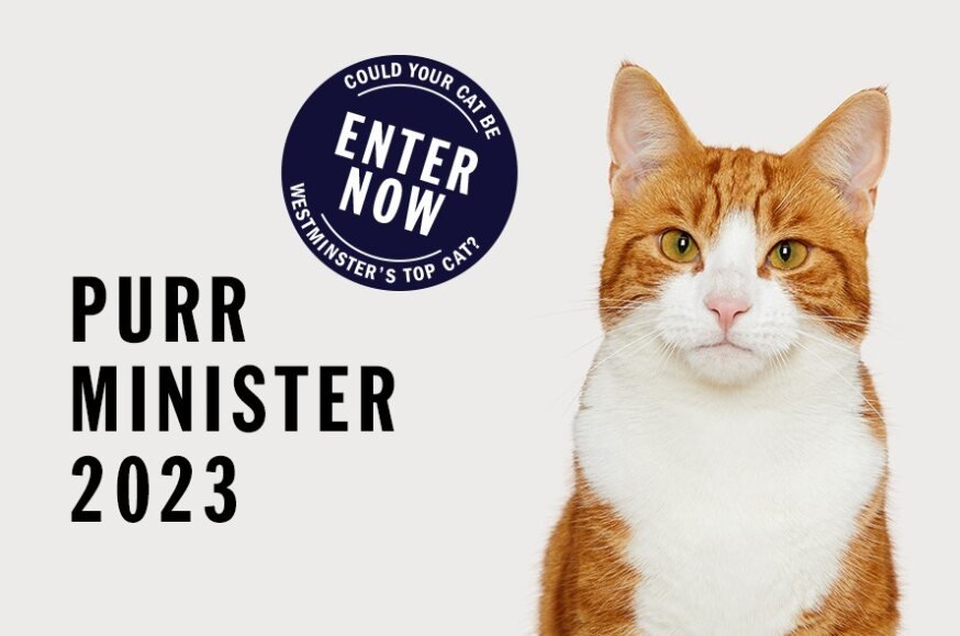 Cat with the text Purr Minister