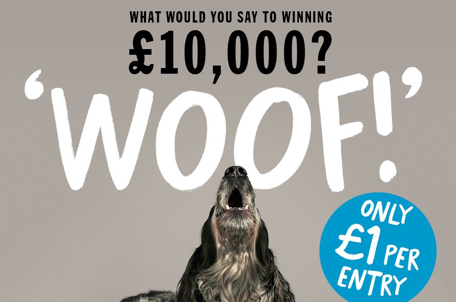 In the foreground a dog barking with its head upwards and on the warm grey background text saying "What would you say to winning £10,000? Woof" and a blue roundel saying "Only £1 per entry"