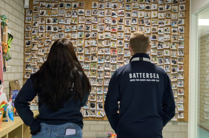 Staff Looking at Photos