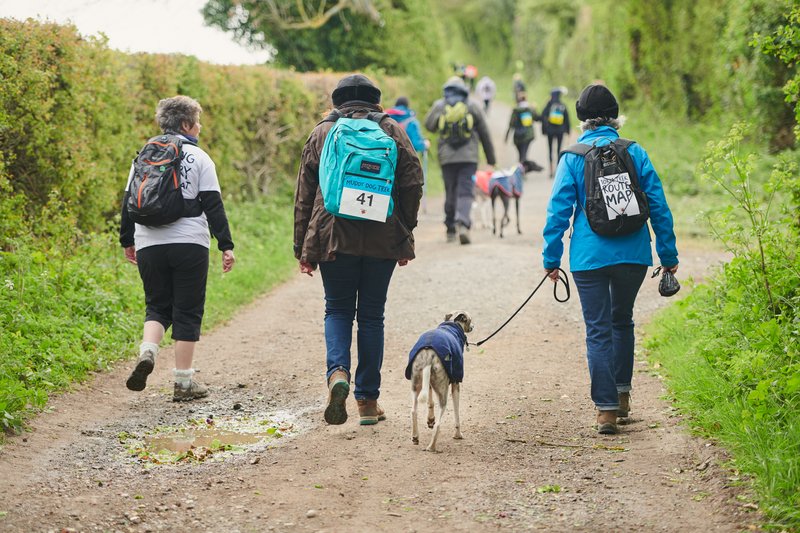 Three people trekking in the countryside with their dog to raise money for Battersea