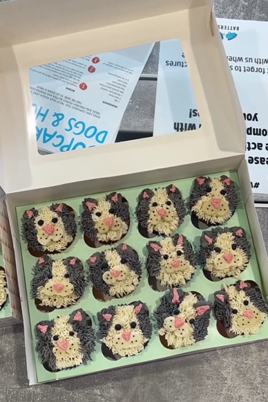 Cat shaped cupcakes
