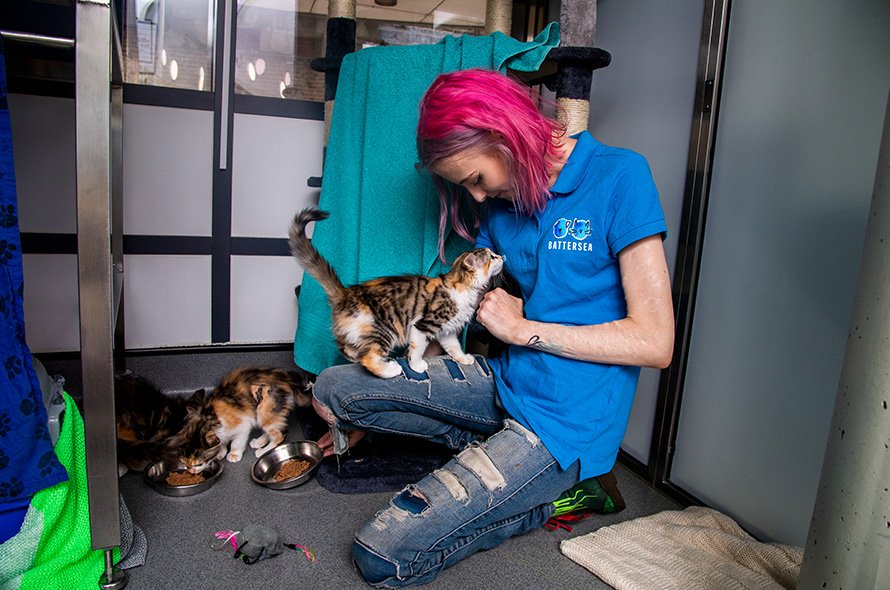 kittens eating together