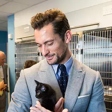 Our board of trustees, directors and ambassadors