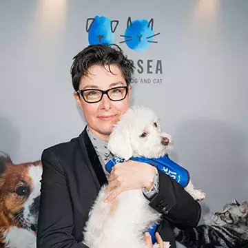 Our board of trustees, directors and ambassadors