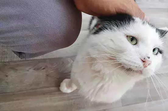 Search for news and stories