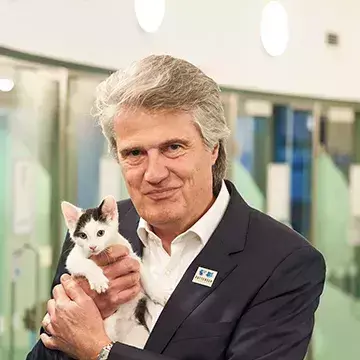 Our board of trustees, directors and ambassadors