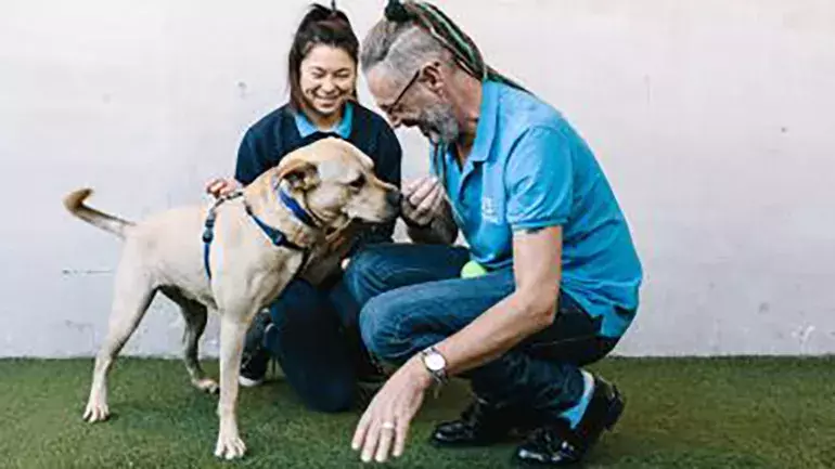 SLIDE - Other ways to give