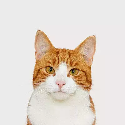 Search for news and stories