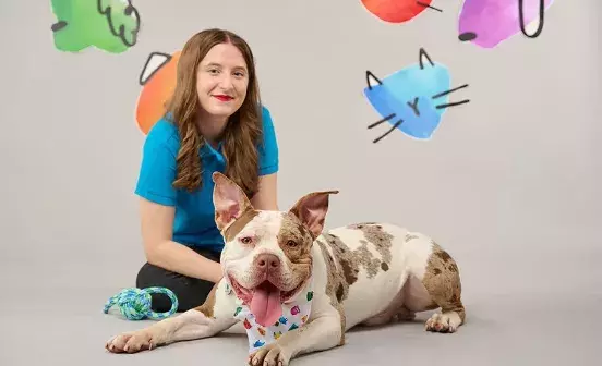 Search for news and stories