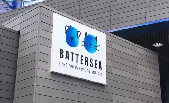 Search for news and stories