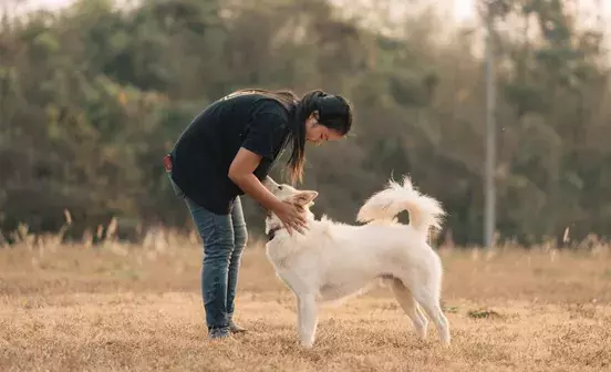 Search for news and stories