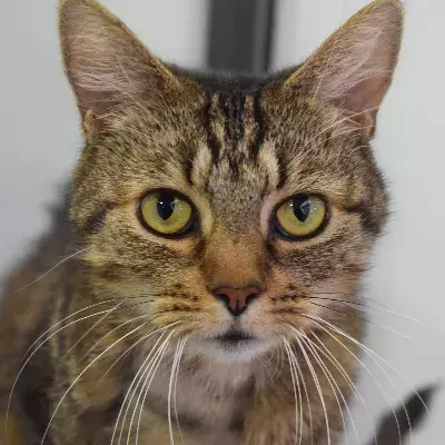 Search for news and stories