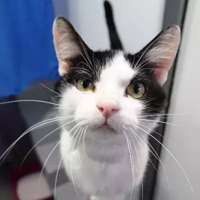 Search for news and stories