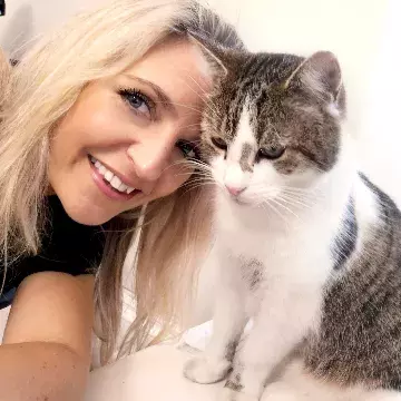 Our board of trustees, directors and ambassadors