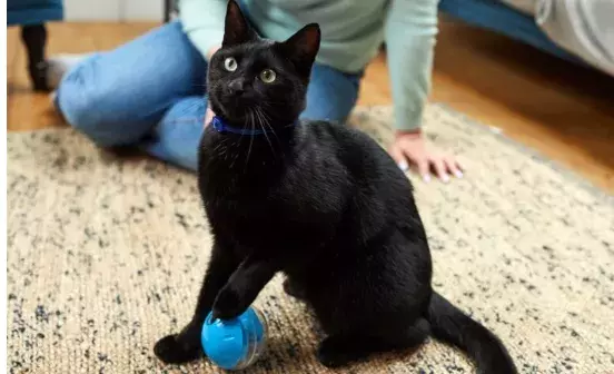 Search for news and stories