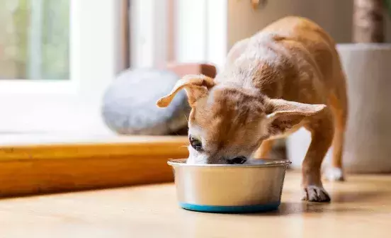 Search for news and stories